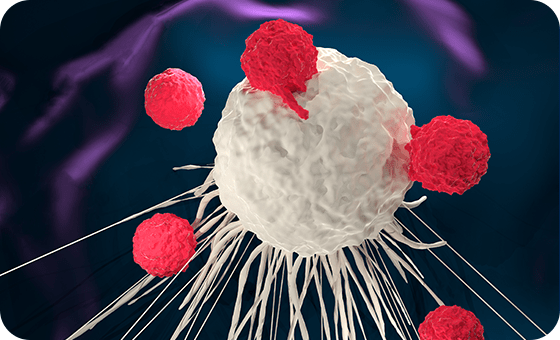 car t cell therapy
